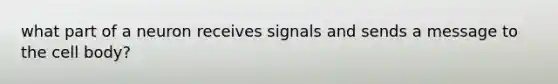 what part of a neuron receives signals and sends a message to the cell body?