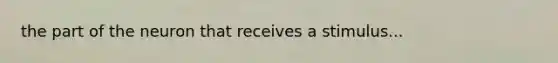 the part of the neuron that receives a stimulus...