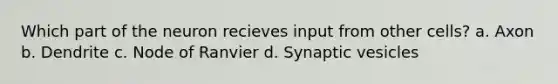 Which part of the neuron recieves input from other cells? a. Axon b. Dendrite c. Node of Ranvier d. Synaptic vesicles