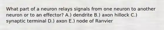 What part of a neuron relays signals from one neuron to another neuron or to an effector? A.) dendrite B.) axon hillock C.) synaptic terminal D.) axon E.) node of Ranvier