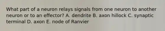 What part of a neuron relays signals from one neuron to another neuron or to an effector? A. dendrite B. axon hillock C. synaptic terminal D. axon E. node of Ranvier