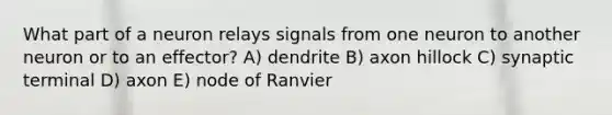 What part of a neuron relays signals from one neuron to another neuron or to an effector? A) dendrite B) axon hillock C) synaptic terminal D) axon E) node of Ranvier