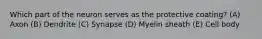Which part of the neuron serves as the protective coating? (A) Axon (B) Dendrite (C) Synapse (D) Myelin sheath (E) Cell body
