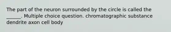 The part of the neuron surrounded by the circle is called the ______. Multiple choice question. chromatographic substance dendrite axon cell body