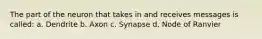 The part of the neuron that takes in and receives messages is called: a. Dendrite b. Axon c. Synapse d. Node of Ranvier