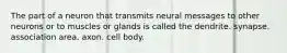 The part of a neuron that transmits neural messages to other neurons or to muscles or glands is called the dendrite. synapse. association area. axon. cell body.