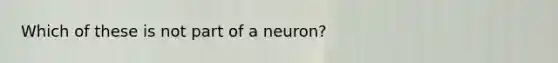 Which of these is not part of a neuron?