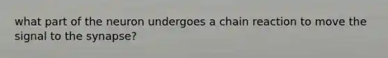 what part of the neuron undergoes a chain reaction to move the signal to <a href='https://www.questionai.com/knowledge/kTCXU7vaKU-the-synapse' class='anchor-knowledge'>the synapse</a>?