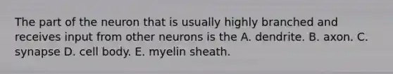 The part of the neuron that is usually highly branched and receives input from other neurons is the A. dendrite. B. axon. C. synapse D. cell body. E. myelin sheath.