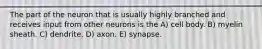 The part of the neuron that is usually highly branched and receives input from other neurons is the A) cell body. B) myelin sheath. C) dendrite. D) axon. E) synapse.