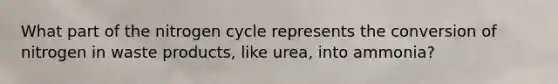 What part of the nitrogen cycle represents the conversion of nitrogen in waste products, like urea, into ammonia?