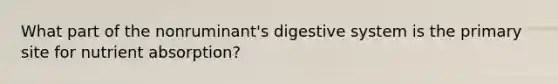 What part of the nonruminant's digestive system is the primary site for nutrient absorption?