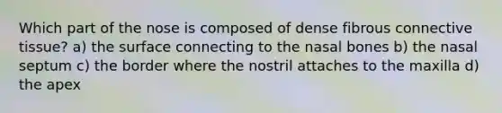 Which part of the nose is composed of dense fibrous connective tissue? a) the surface connecting to the nasal bones b) the nasal septum c) the border where the nostril attaches to the maxilla d) the apex