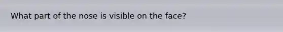 What part of the nose is visible on the face?
