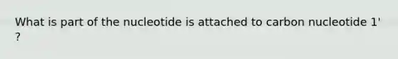 What is part of the nucleotide is attached to carbon nucleotide 1' ?