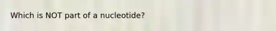 Which is NOT part of a nucleotide?