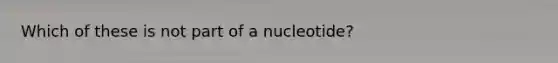 Which of these is not part of a nucleotide?