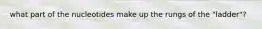 what part of the nucleotides make up the rungs of the "ladder"?