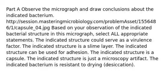 Part A Observe the micrograph and draw conclusions about the indicated bacterium. http://session.masteringmicrobiology.com/problemAsset/1556486/1/capsule_04.jpg Based on your observation of the indicated bacterial structure in this micrograph, select ALL appropriate statements. The indicated structure could serve as a virulence factor. The indicated structure is a slime layer. The indicated structure can be used for adhesion. The indicated structure is a capsule. The indicated structure is just a microscopy artifact. The indicated bacterium is resistant to drying (desiccation).