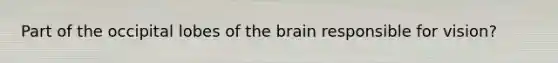 Part of the occipital lobes of the brain responsible for vision?