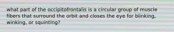 what part of the occipitofrontalis is a circular group of muscle fibers that surround the orbit and closes the eye for blinking, winking, or squinting?