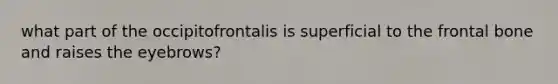 what part of the occipitofrontalis is superficial to the frontal bone and raises the eyebrows?