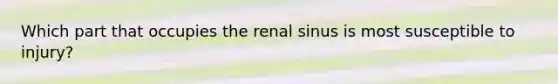 Which part that occupies the renal sinus is most susceptible to injury?