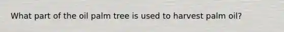 What part of the oil palm tree is used to harvest palm oil?