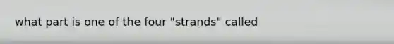 what part is one of the four "strands" called