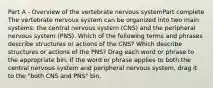 Part A - Overview of the vertebrate nervous systemPart complete The vertebrate nervous system can be organized into two main systems: the central nervous system (CNS) and the peripheral nervous system (PNS). Which of the following terms and phrases describe structures or actions of the CNS? Which describe structures or actions of the PNS? Drag each word or phrase to the appropriate bin. If the word or phrase applies to both the central nervous system and peripheral nervous system, drag it to the "both CNS and PNS" bin.