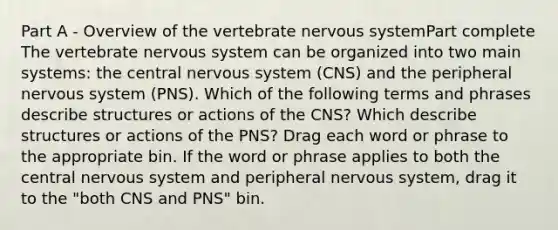 Part A - Overview of the vertebrate nervous systemPart complete The vertebrate nervous system can be organized into two main systems: the central nervous system (CNS) and the peripheral nervous system (PNS). Which of the following terms and phrases describe structures or actions of the CNS? Which describe structures or actions of the PNS? Drag each word or phrase to the appropriate bin. If the word or phrase applies to both the central nervous system and peripheral nervous system, drag it to the "both CNS and PNS" bin.