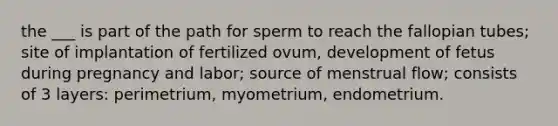 the ___ is part of the path for sperm to reach the fallopian tubes; site of implantation of fertilized ovum, development of fetus during pregnancy and labor; source of menstrual flow; consists of 3 layers: perimetrium, myometrium, endometrium.