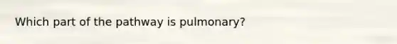 Which part of the pathway is pulmonary?