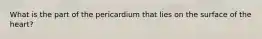 What is the part of the pericardium that lies on the surface of the heart?