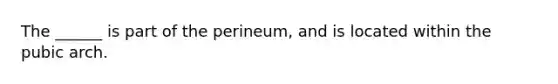 The ______ is part of the perineum, and is located within the pubic arch.