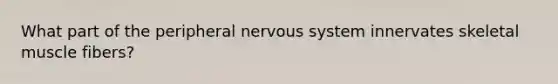 What part of the peripheral nervous system innervates skeletal muscle fibers?