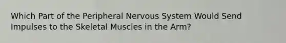 Which Part of the Peripheral Nervous System Would Send Impulses to the Skeletal Muscles in the Arm?