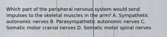 Which part of the peripheral nervous system would send impulses to the skeletal muscles in the arm? A. Sympathetic autonomic nerves B. Parasympathetic autonomic nerves C. Somatic motor cranial nerves D. Somatic motor spinal nerves