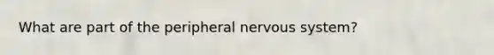 What are part of the peripheral nervous system?