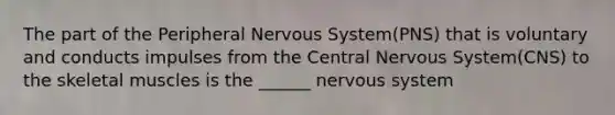 The part of the Peripheral Nervous System(PNS) that is voluntary and conducts impulses from the Central Nervous System(CNS) to the skeletal muscles is the ______ nervous system