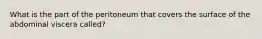 What is the part of the peritoneum that covers the surface of the abdominal viscera called?