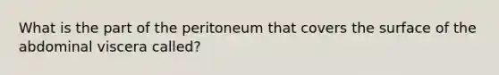 What is the part of the peritoneum that covers the surface of the abdominal viscera called?