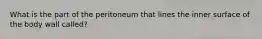 What is the part of the peritoneum that lines the inner surface of the body wall called?