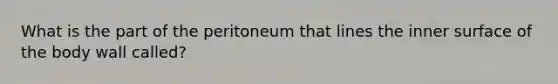 What is the part of the peritoneum that lines the inner surface of the body wall called?