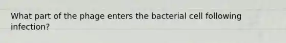 What part of the phage enters the bacterial cell following infection?