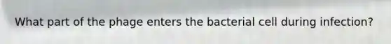 What part of the phage enters the bacterial cell during infection?