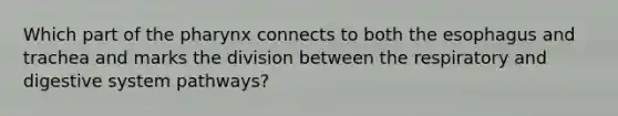 Which part of the pharynx connects to both the esophagus and trachea and marks the division between the respiratory and digestive system pathways?