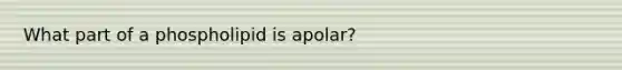 What part of a phospholipid is apolar?