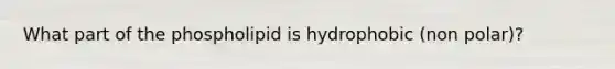 What part of the phospholipid is hydrophobic (non polar)?