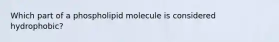 Which part of a phospholipid molecule is considered hydrophobic?